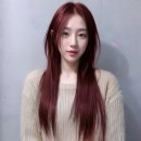 스테리헤어 네이버블로그