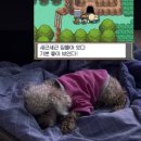 재밌지 않으면, 재밌는 척하고 산다.