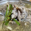 승래농장 네이버블로그