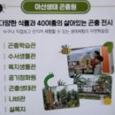 예산읍043 네이버블로그