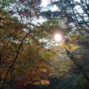 태양헤어샾 - 구미시 | 태양헤어샾