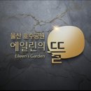 울산중앙중학교 이미지