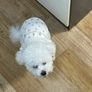 민정사 이미지