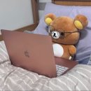 (주)브렌디 네이버블로그