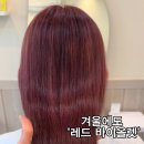 여니프헤어