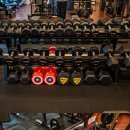 골든짐(GOLDEN GYM) 이미지