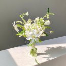 누벨 - 용인시 수지구 풍덕천로129번길 6-4 | [wedding] 라본누벨 촬영후기 | 파주 스튜디오