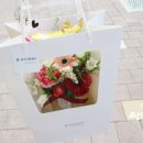 홍피아플레르