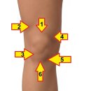 서성훈한의원 | [원장 노트] 무릎 주변의 불룩한 덩어리 ※