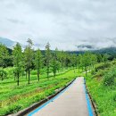 비 개인 후 이미지