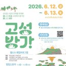 고성리 미디어제주