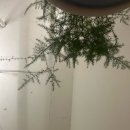 이플 | 햇살 맛집 구미 카페 이플 후기