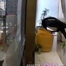 순옥농장 이미지