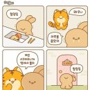 소쥬2