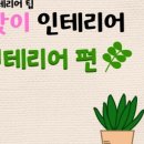 라탄테리어 이미지