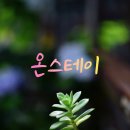 화정역 고시원 온스테이 직접 거주해보고 추천하는 갓성비 주거 공간 후기