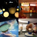 개미화점 | 잘츠부르크 자연사 박물관 (Haus der Natur) 아이와 가볼 만한 곳 후기