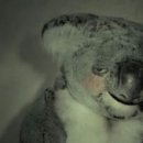 나들목가족공원(2) 이미지