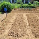 원뜰농장 이미지