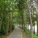 좌동산책길 이미지