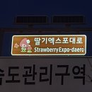 엑스포대로 이미지