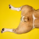 오뜨동물의료센터 이미지