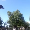 백산의료기 이미지