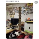 7월 27일 - 8월 1일 까지의 일상.