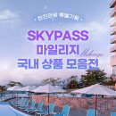 대한스카이 이미지