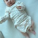 60 | 내돈내산 코니 신생아 바디수트 60 사이즈 비교 후기