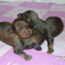 리코리아몰 이미지