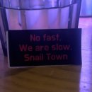 스네일 타운(Snail Town)