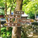 고창 가을 여행 선운산 도립공원 등산코스 진흥굴 낙조대 용문굴 도솔암 단풍구경 후기
