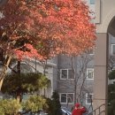 국가대표 경희대 빛 태권도 이미지