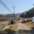 교로2리 이미지