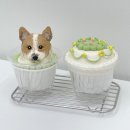 프프프스토어 이미지