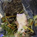 연남동술집 &#39;용왕포차&#39; 돌문어숙회가 맛있고 사장님이 친절한 연남동해산물포차 후기