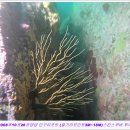 인구 리조트 이미지