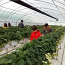 웅비농장 이미지