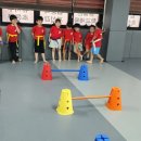 강철태권도체육관 이미지