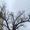 사당밑골 이미지