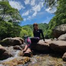 김동성 농장 이미지