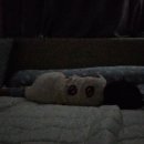 노리파크길음점 이미지