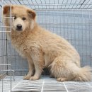 서이천로 이미지