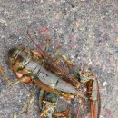 백경수낚시터 이미지