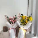 일산랩플레르