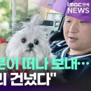 꽃분이