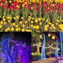 장미파크 이미지