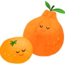 이편한센트럴부동산중개 이미지