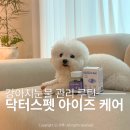 사라펫 | 강아지눈물관리 위해 급여중인 강아지영양제 닥터스 펫 아이즈케어
